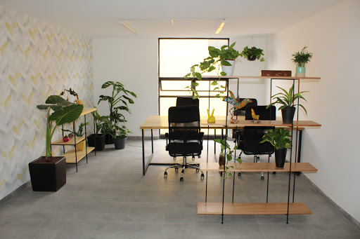 Espacio Cero Coworking