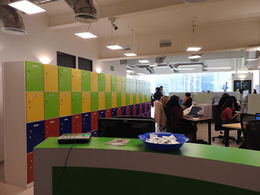 IVO Business Center